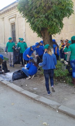 Ecology in Action!